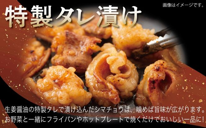 G3382 牛シマチョウ 焼肉用 塩麹・タレ漬けセット 合計1.5kg【味付け 小分け 焼くだけ 簡単調理 BBQ 牛肉 ホルモン 250g×6袋】