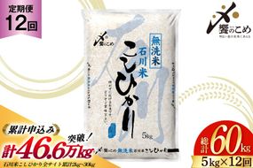 【12回 無洗米 定期便 】石川県産 こしひかり 5kg×12回 総計60kg [中橋商事 石川県 宝達志水町 38601338] 米 お米 白米 精米 ご飯 ごはん コシヒカリ