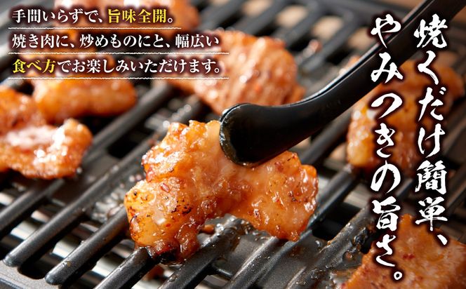 ＜訳アリ＞和牛ホルモン（大腸）　特製味噌漬け　0.6kg(300g×2）【2026年10月発送】 141305_KZ22VC10