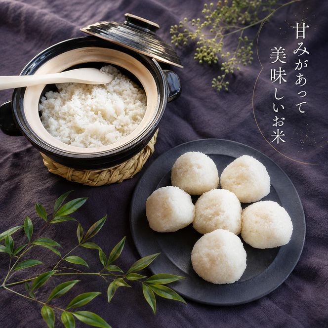 令和8年度産 新米先行予約 コシヒカリ 5kg 美山産 ひとしずく 令和8年 5キロ 農薬不使用 米 白米 精米 コメ お米 栽培期間中農薬不使用 単一原料米  ご飯 ごはん 安心 安全 こしひかり 新米26