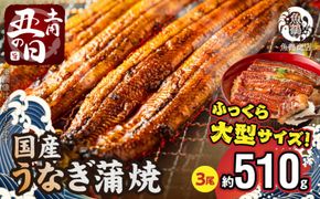 G7314_【土用の丑の日】＜7月26日までにお届け＞ふっくら柔らか 国産うなぎ蒲焼き 3尾