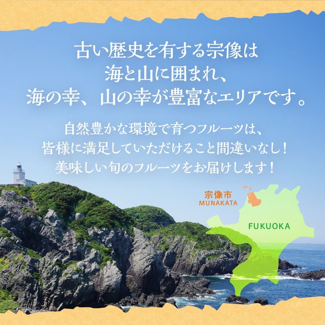 【定期便/年4回】ＪＡむなかた厳選！人気のフルーツ定期便【ほたるの里】_HB0140