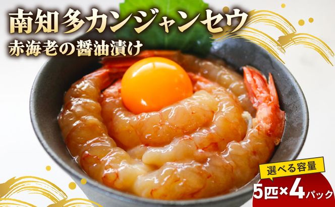 赤海老 南知多カンジャンセウ 5匹×4袋 海老の醤油漬け 海老 えび エビ 新鮮 韓国料理