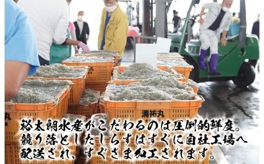 010B1757 【鮮度抜群】釜揚げしらす 800g【しらす シラス 小分け 400g×2P 国産 海鮮 魚介類 ご飯のお供 おつまみ しらす丼 冷凍】