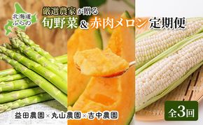 【年3回定期便】【2026年5～8月お届け】北海道 富良野 直送！ 旬の新鮮 夏野菜 厳選 3農家 スペシャルコラボ 定期便 (アスパラガス 赤肉メロン とうもろこし 北海道 富良野市 野菜 果物 フルーツ 甘い 新鮮 益田農園 丸山農園 吉中農園)