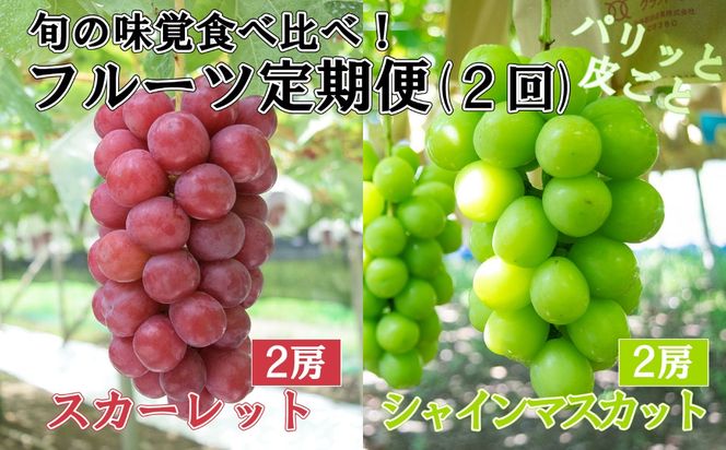 【やまなしのフルーツ定期便】シャインマスカット(緑)（２房・約１．４ｋｇ）＆スカーレット(赤)（２房・約１．５ｋｇ）食べ比べ定期便（２回発送）　ぶどう ブドウ 葡萄 食べ比べ 定期便 マスカット シャイン 赤ぶどう フルーツ 果物 くだもの 山梨 やまなし