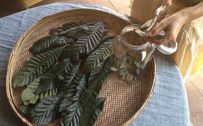 Inori ナチュラルヘルス＆エコセット（ビワの葉エキス他） 加工食品 手作り 加工品 詰め替え用ボトル 