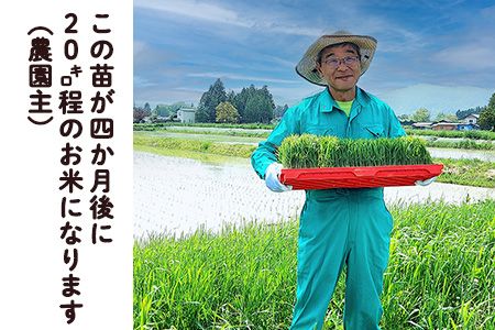 ＜令和8年産予約受付＞【6ヶ月定期便】 銀河のしずく 厳選プレミアム（減農薬・減化学肥料）10kg 【2019】
