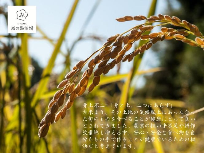 令和7年産 京都美山産 にじのきらめき 10kg　 精米 コメ こめ お米 単一原料米 ごはん ご飯 京都