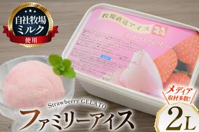 テレビで紹介！ アイス ジェラート ストロベリー 2L ファミリーサイズ ジャンボサイズ [岩瀬牧場 北海道 砂川市 12260964] 冷凍 アイスクリーム 詰め合わせ スイーツ