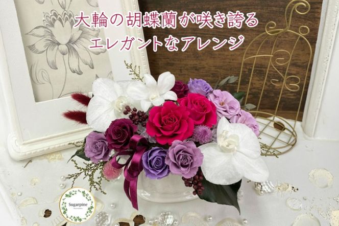 シュガーパイン プリザーブドフラワー（ルクール/ディープルビー）【埼玉県 春日部市 洋蘭 高級ギフト 室内観賞 記念祝い 長期保存】 （AJ206-1）