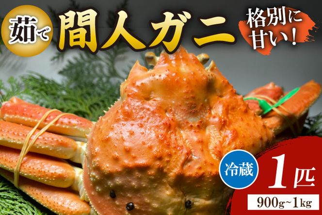 ys{OszԐl`l̊ۗFNOځE̊ԐlKj䥂Ł[1C  900~1kg]@MG00009