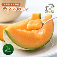 【2027年夏発送】富良野 メロン テンマメロン[1玉2kg以上] フルーツ 果物