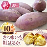 【先行予約】【2026年11月より順次発送開始】【訳あり】紅はるか 約10kg｜さつまいも 芋 お芋 わけあり 訳あり 紅はるか タネのハシモト 茨城県 行方市(BS-23)