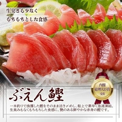 枕崎ぶえん鰹(活き〆鰹)700g A0-21【1460787】