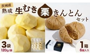 【 吉原農場 の 完熟栗 】 熟成 生むき栗 3袋・栗きんとん 1箱 セット 令和7年産 栗の深雫 完熟  むき栗 くり クリ 栗ごはん おかし お菓子 果物 フルーツ 数量限定 旬 秋 冬 正月 おせち [CX024ci]