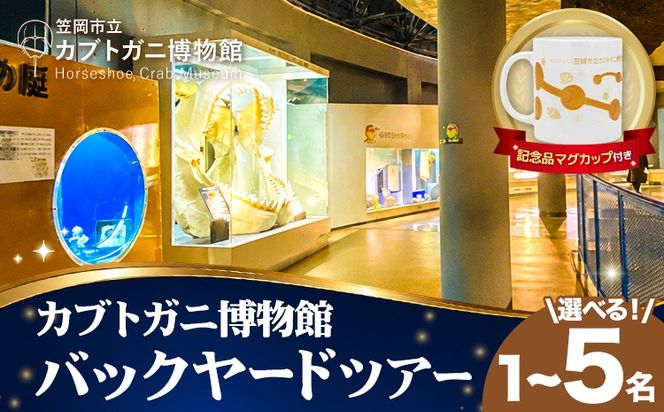 バックヤードツアー 記念品 マグカップ 付き 選べる人数 1名 2名 3名 4名 5名 カブトガニ博物館《寄附お申し込み約1週間後にご連絡差し上げます(土日祝除く)》岡山県 笠岡市 カブトガニ 博物館 バックヤード チケット ツアー 送料無料---K-72---