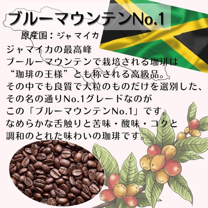 自家焙煎 プレミアム珈琲豆 3種セット（挽き）