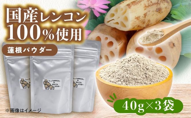 れんこんパウダー 3袋  レンコン 調味料 野菜 愛西市 / しょうがやさん 【配達不可：離島】[AEAO012]