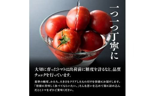 宮崎県産トマト　とこうさんのトマト1kg（9～18個） 【 宮崎県産 九州産 川南町産 トマト とまと 野菜 ヘルシー】 [C06601]