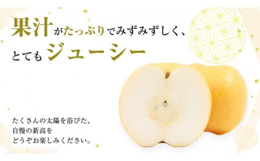 【 2026年9月下旬発送開始 】 茨城県産 梨 新高 （約 5kg ） 6～12玉 フルーツ 果物 なし ナシ 旬 新鮮 甘い 国産 ジューシー みずみずしい 先行予約 [CL005us]	