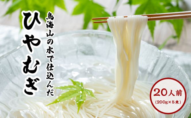 喉越しの良い象潟うどんとひやむぎセット(各5束合計10束 20人前 乾麺） 麺類 冷や麦 冷麦 大量 長期保存 