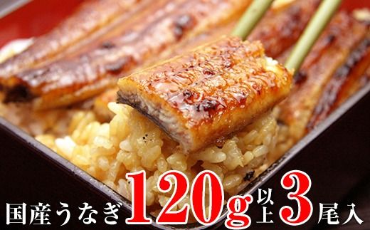 994.国産うなぎ蒲焼き120g3本セット(A994-1)