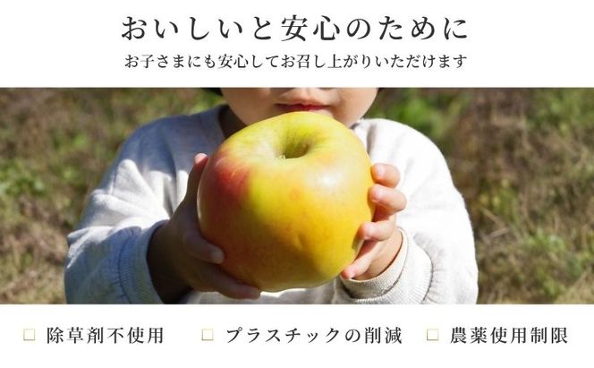 【2026年10月～発送】ぐんま名月 家庭用 約5kg りんご リンゴ 林檎 果物 フルーツ 長野県 長野 山ノ内町