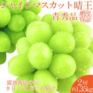 2026年 先行予約シャインマスカット 晴王 2房 約1.35kg 9月～10月出荷/ 岡山県産 種無し 皮ごと食べる みずみずしい  フレッシュ 晴れの国 おかやま 果物大国 彩美菜果