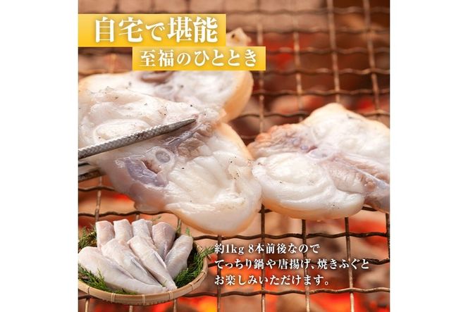 ＜訳あり・業務用＞とらふぐ 身欠き上身 (計約1kg) 極みフグ 冷凍 ふぐ ふぐ鍋 焼ふぐ 唐揚げ てっちり鍋 お取り寄せ 鮮魚 養殖 国産 大分県 佐伯市【DK16】【(有)エイコー水産】