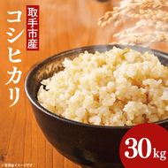 【令和8年度産】取手市産 コシヒカリ 玄米30kg | 米 玄米 こしひかり JA 茨城県 取手市 （AR003）
