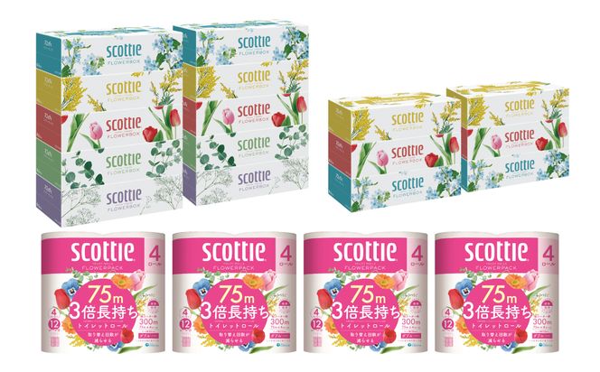 【定期便6回】【毎月お届け】【スコッティ】ティシュー フラワーボックス 250組（5箱パック×2セット・3箱パック×2セット）＋フラワーパック 3倍長持ち（4ロール(ダブル)パックx4セット）