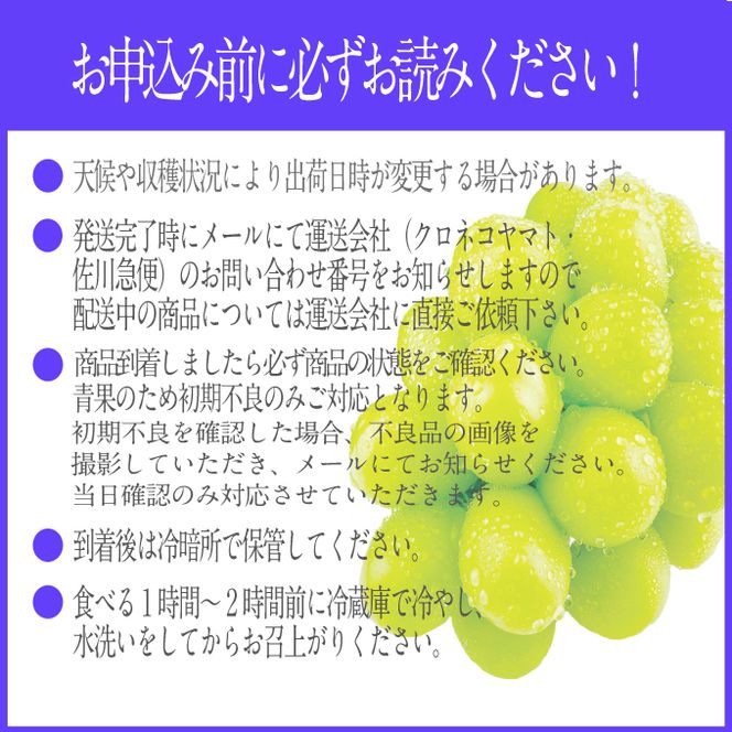 2026年予約受付中 シャインマスカット晴王1房 約700g 7月～8月出荷 人気 岡山県産 種無し 皮ごと食べる みずみずしい フレッシュ 晴れの国 おかやま 果物大国 ハレノフルーツ