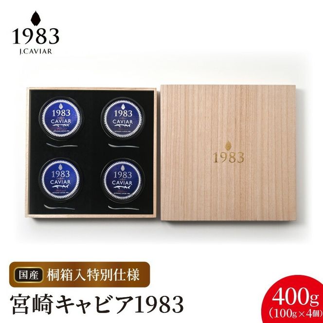 y{茧sz{LrA1983 (400g ˔) N027-YL003