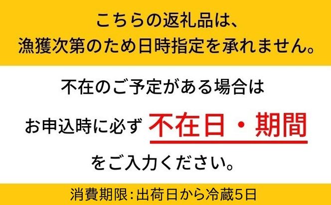 【2026年3月中旬以降発送】富山産ボイルホタルイカ360g（120g×3）※沖縄・離島への配送不可 ※2026年3月中旬～5月中旬頃に順次発送予定
