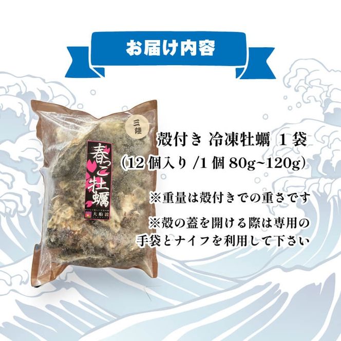 生食可 冷凍 牡蠣 殻付き牡蠣 春っこ 牡蠣 1袋 ( 12個入り )  冷凍 数量限定 かき カキ 殻付き牡蠣 [funamoto003]
