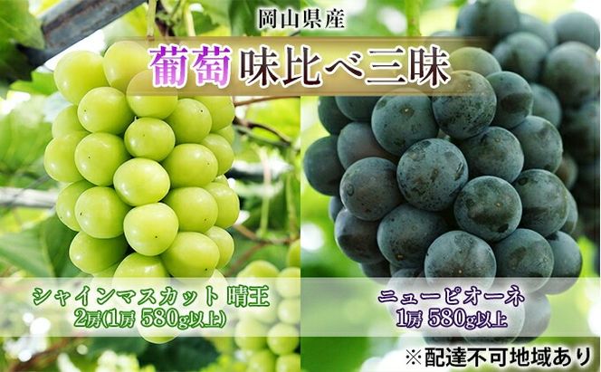 ぶどう 2026年 先行予約 葡萄 味比べ三昧 シャイン マスカット 晴王 2房（1房 580g以上）ニュー ピオーネ  1房 580g以上（露地栽培）詰合せ ブドウ 葡萄  岡山県産 国産 フルーツ 果物 ギフト