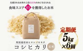 令和8年度　新米【6回定期】特別栽培米 コシヒカリ ヒロシノキモチ 玄米 5kg 総計30kg 陽咲玲 米 お米 コメ ご飯 ごはん 富山県産 富山県 立山町 F6T-1044