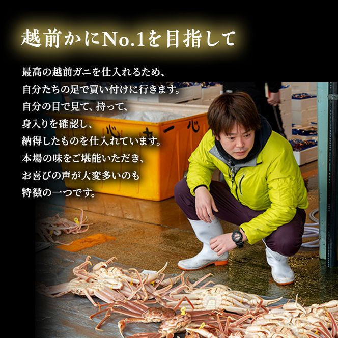 かに 訳あり 期間限定 茹で 越前ガニ 約600g～700g未満1杯 ボイルカニ ボイル 魚介類