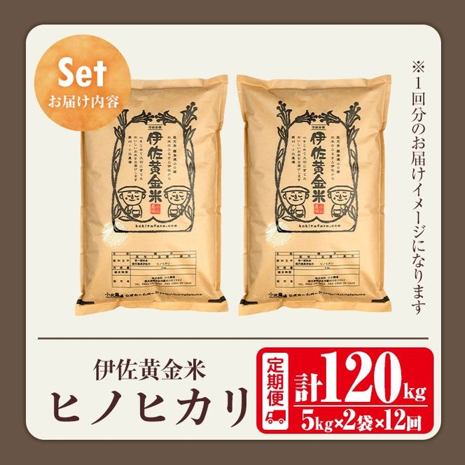 isa793 《数量限定・12回定期便》令和7年産 小北農場の新米 伊佐黄金米〈ヒノヒカリ〉(計120kg・5kg×2袋×12回) 鹿児島 伊佐 新米 お米 120kg 定期便 12回 特別栽培米 伊佐米 白米 ヒノヒカリ ひのひかり おにぎり ごはん  【小北農場】