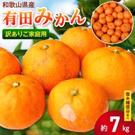 【訳あり ご家庭用】和歌山県産 有田みかん 6+1kg保証分 サイズ混合_EH6102