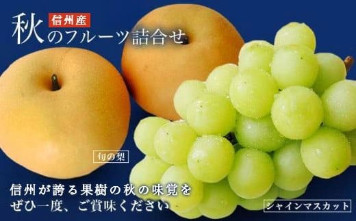 シャインマスカット1房と梨2玉 詰め合わせ ［小布施屋］果物 詰合せ セット フルーツ ぶどう なし シャインマスカット 先行予約 期間限定 冷蔵便 クール便 数量限定 長野県産 信州産 令和7年産 【2025年9月中旬頃～10月下旬頃まで順次発送】 ［A-306］