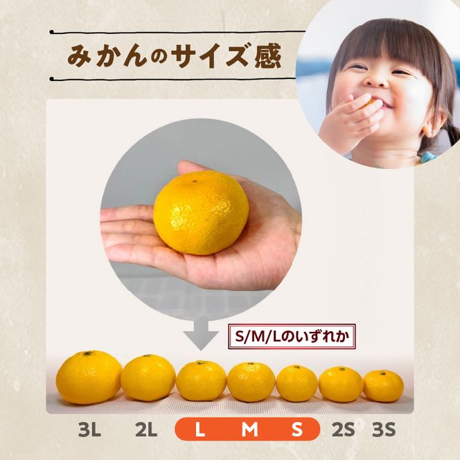 MK1056_【2026先行予約】ゆら早生 みかん 箱込 5kg ( 内容量 4.4kg ) S M Lサイズのいずれか 秀品 優品 混合 有田みかん 和歌山県産