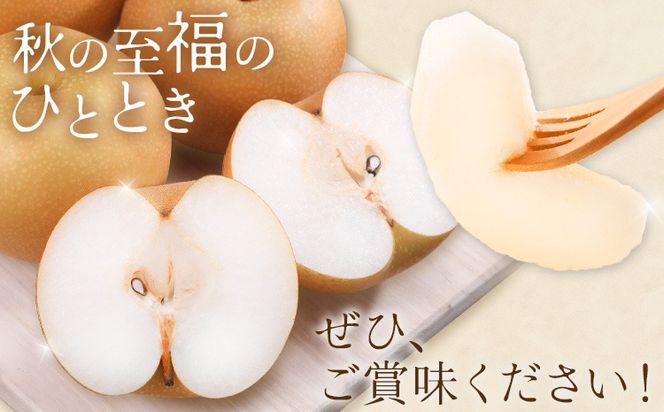 先行予約 あきづき梨 あきづき 梨 約2kg 株式会社エフビーネット《8月下旬-9月下旬頃出荷》熊本県 氷川町 果物 フルーツ 熊本県産 青果物 和梨 ジューシー---hkw_efn_3_2kg---