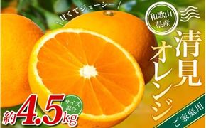【ご家庭用】手選別 清見オレンジ 約4.5kg 和歌山県産 2S~2Lサイズ混合※2026年2月上旬～5月中旬頃に順次発送【mrmt022A】