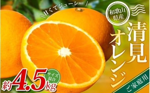 ya̎RI쒬zyƒpzI IW 4.5kg a̎RY 2S~2LTCY2026N2{`5{ɏymrmt022Az