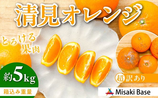 【先行受付】【※超訳あり】清見オレンジ 5kg ※離島への配送不可 （2026年3月中旬より順次発送） IKTAB009 