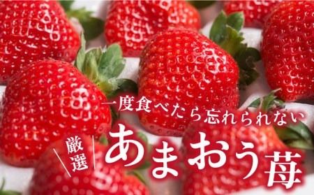 【2024年2月上旬より順次発送】【春】ヨーグルトあまおう720ml ×あまおう 約250g×2パック 糸島市 / 南国フルーツ株式会社 [AIK015]