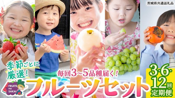 ＼ 選べる回数 ／ 【定期便】フルーツセット（3回 / 6回 / 12回）（茨城県共通返礼品） 茨城県 県産 つくばみらい市 人気 厳選 果物 くだもの 旬 旬の果物 旬のフルーツ 上級品 極上 贅沢 極み フルーツ フルーツセット ギフト プレゼント