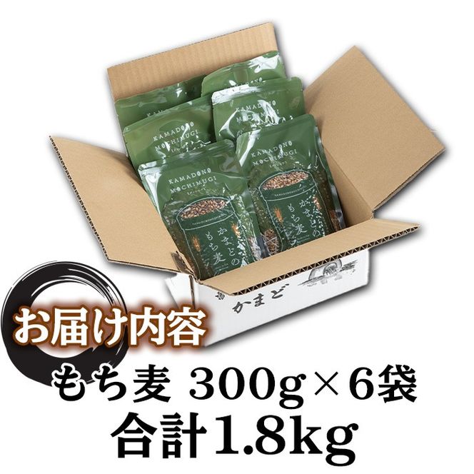 isa256 《訳あり・数量限定》鹿児島県伊佐市産もち麦！＜ダイシモチ＞(計1.8kg・300g×6袋) 【社会福祉法人ひまわり福祉会】